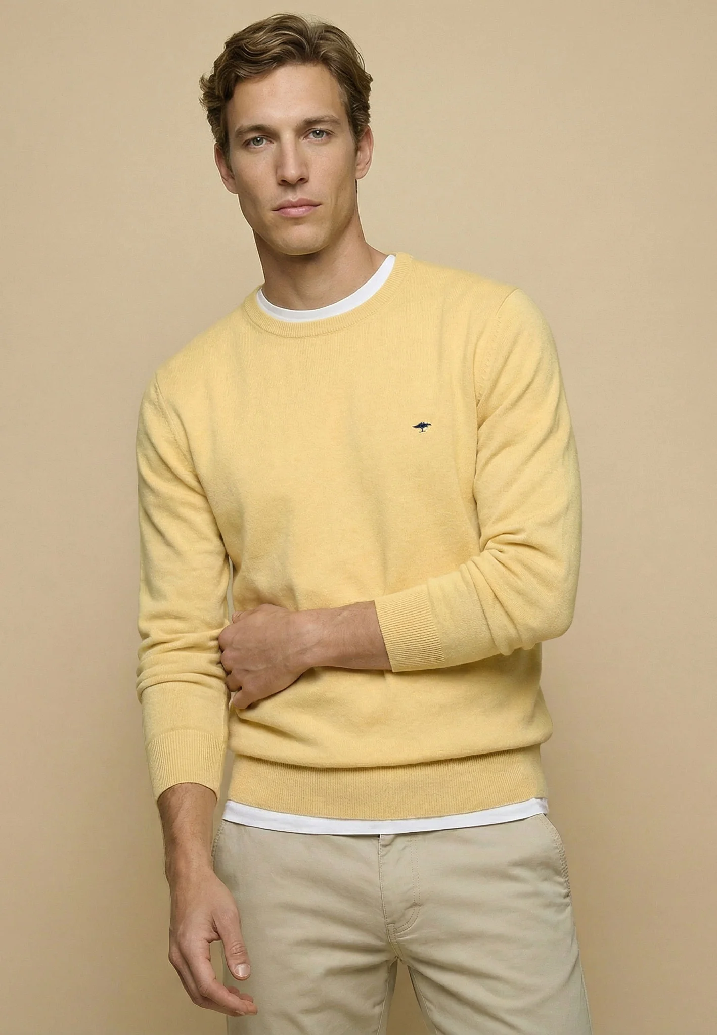 Feinstrickpullover aus reiner Baumwolle mit Rundhalsausschnitt - Image 11