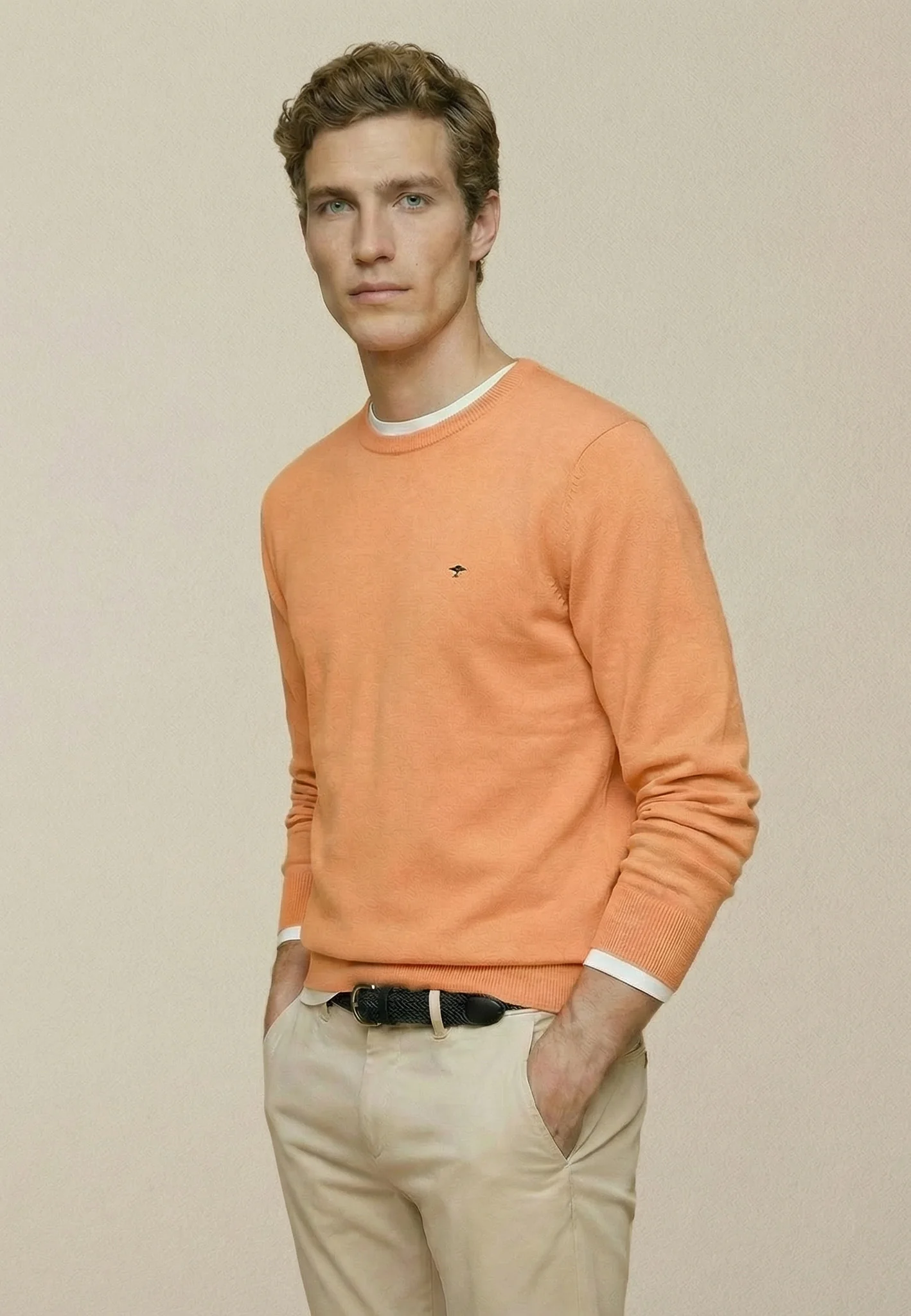 Feinstrickpullover aus reiner Baumwolle mit Rundhalsausschnitt - Image 16