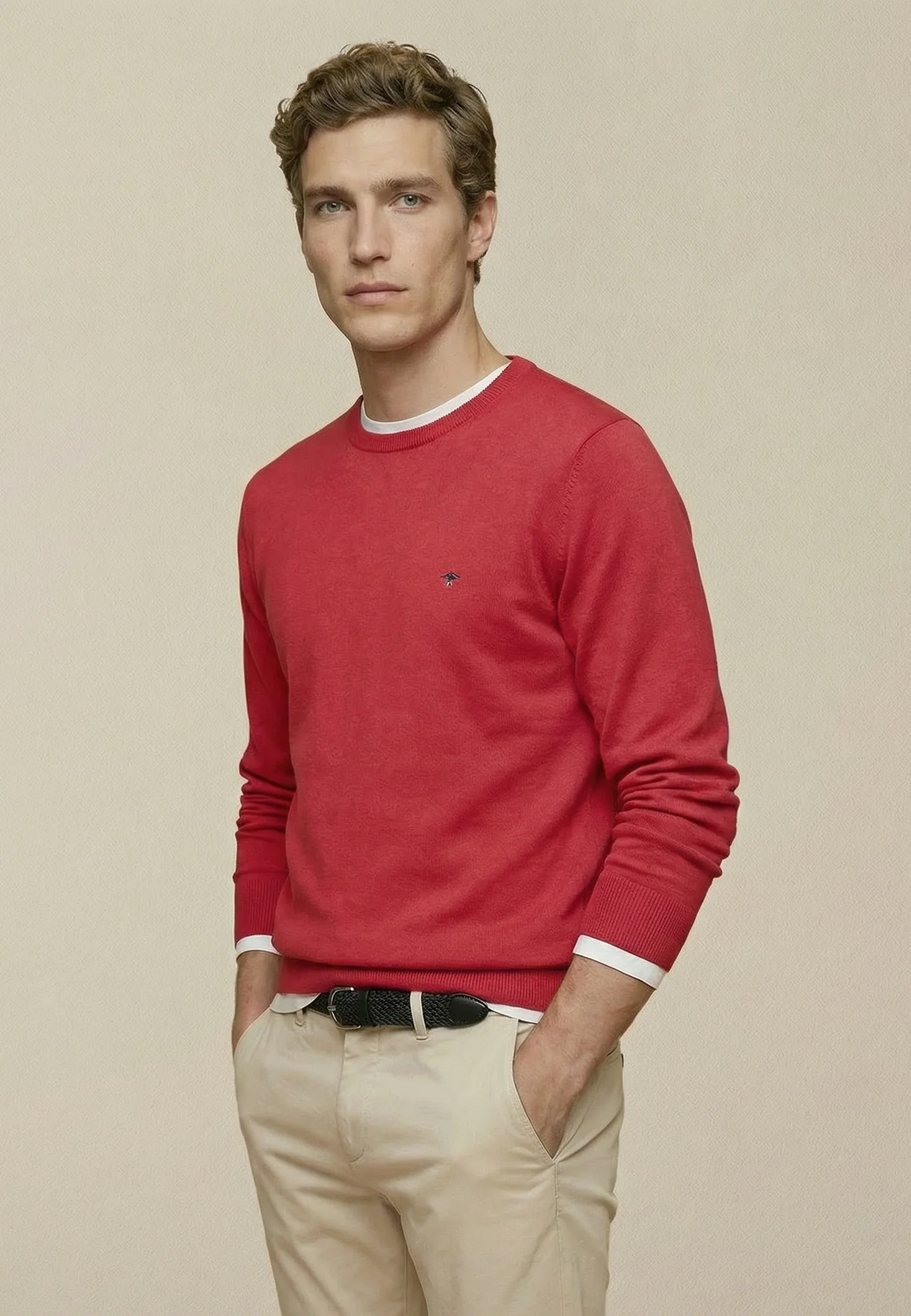 Feinstrickpullover aus reiner Baumwolle mit Rundhalsausschnitt - Image 26