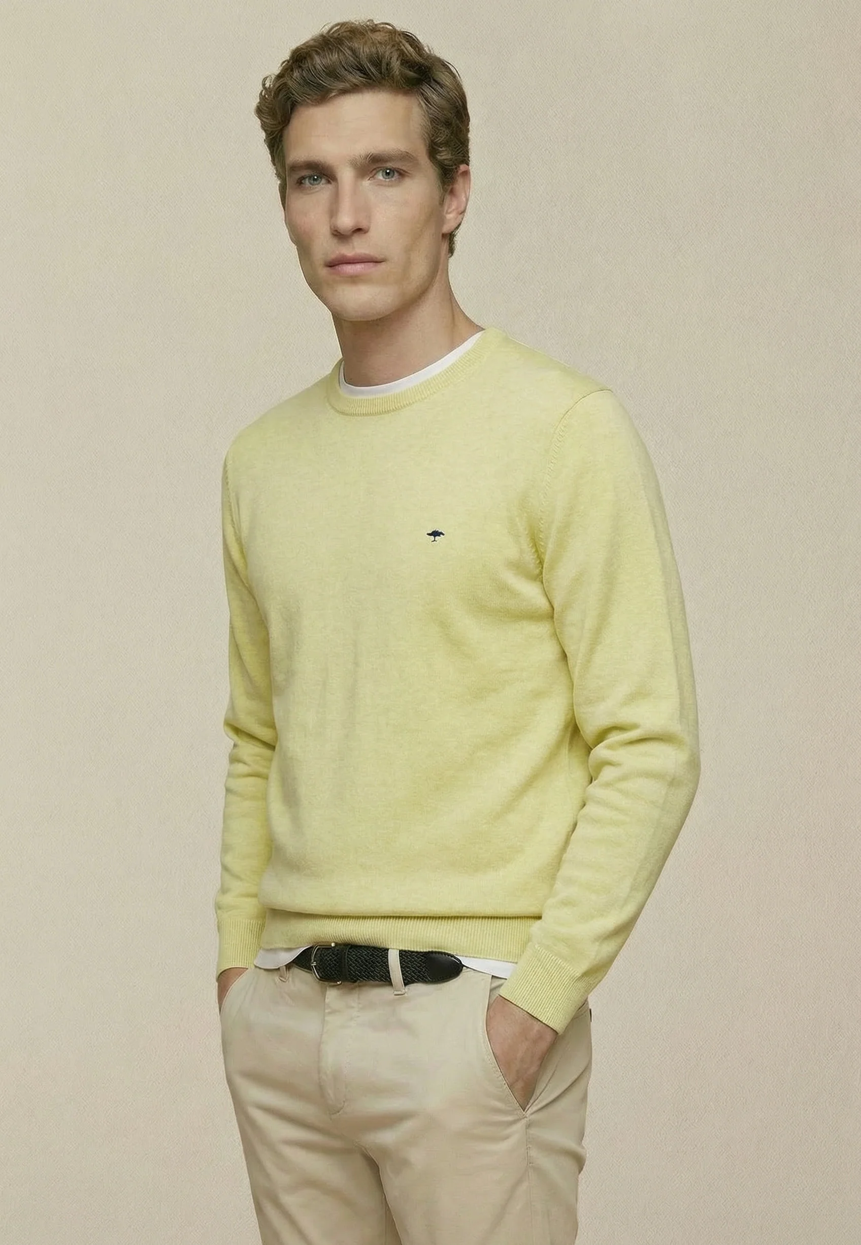 Feinstrickpullover aus reiner Baumwolle mit Rundhalsausschnitt - Image 66