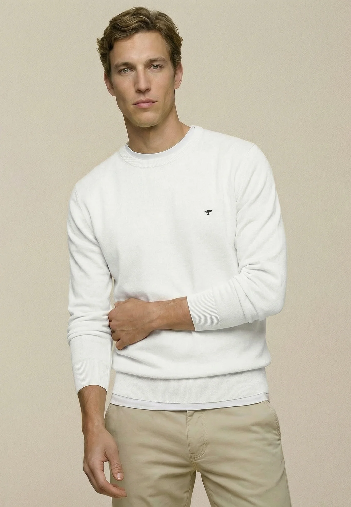 Feinstrickpullover aus reiner Baumwolle mit Rundhalsausschnitt - Image 76